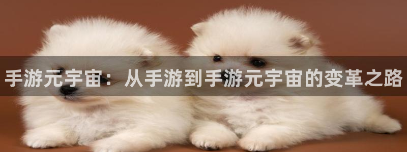 豪门国际开奖官网下载