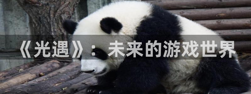 28大神官网网址是什么