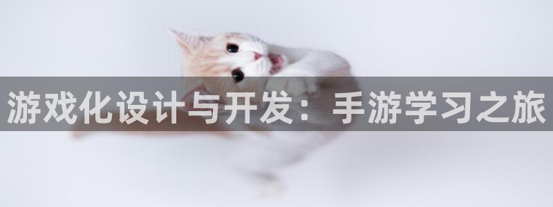 28大神预测官网