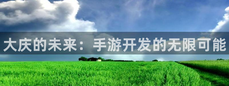 28大神：大庆的未来：手游开发的无限可能