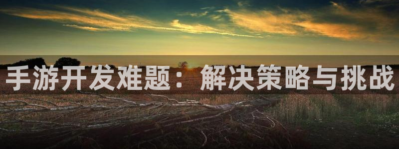 大神在线开奖28