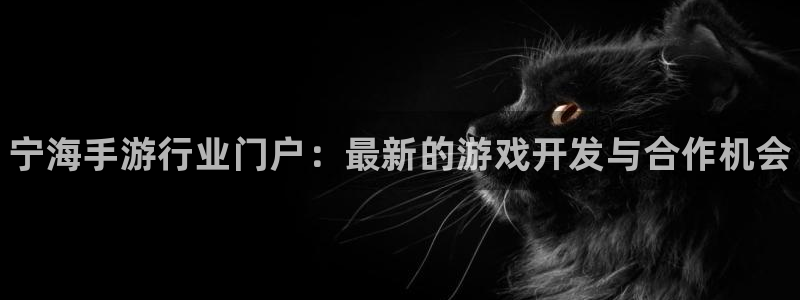 28大神下载苹果版