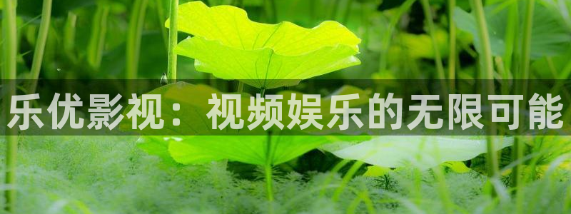 97超碰人人爽人人做：乐优影视：视频娱乐的无限可能
