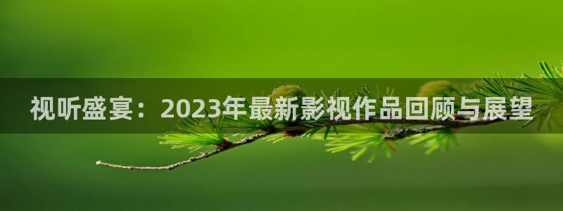 人人爽亚洲aⅴ人人爽av人人片