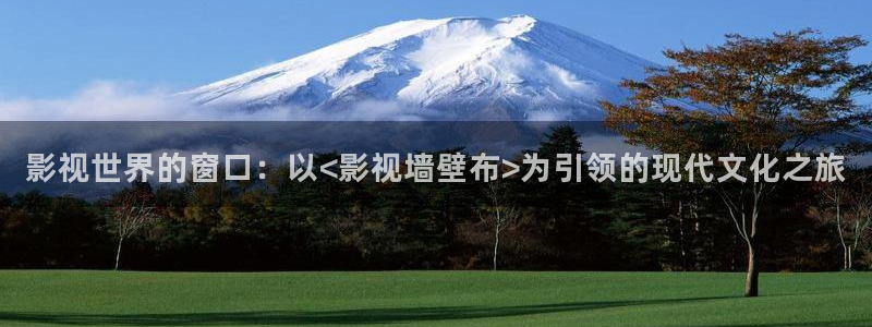 久久人人添人人爽添人人片va