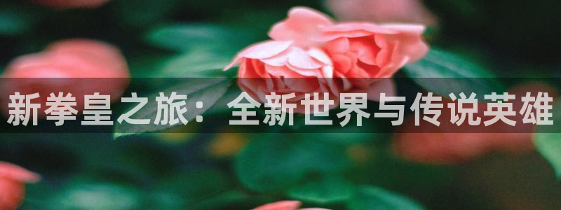 豪门国际杀组合：新拳皇之旅：全新世界与传说英雄